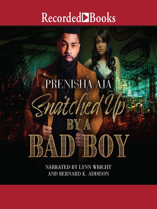Cover image for Snatched Up by a Bad Boy